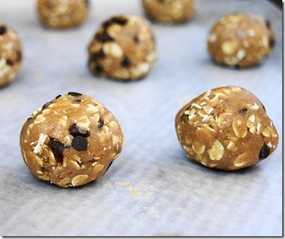 Peanut Butter Oatmeal Cookie Dough Balls 10c (2)