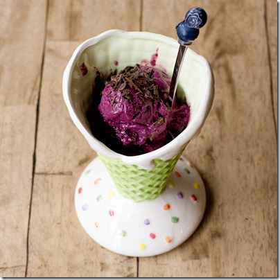 Blueberry Chocolate Chunk Frozen Yogurt - low fat but delicious