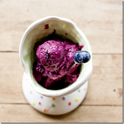 Blueberry Chocolate Chunk Frozen Yogurt - low fat but delicious
